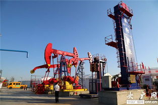 中国国际石油天然气及石化技术装备展览会在新疆克拉玛依举行